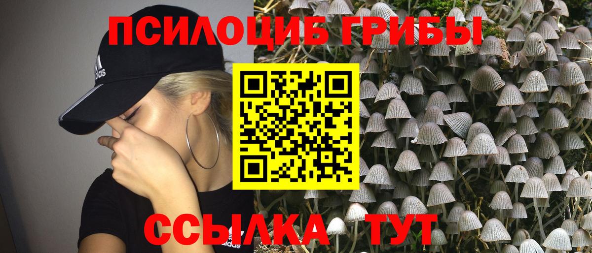 Псилоцибиновые грибы Magic Shrooms  Вход с VPN  Малгобек 