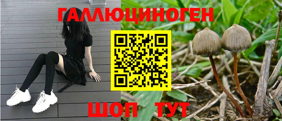 Галлюциногенные грибы мицелий Малгобек